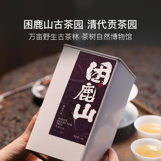 稀雀 困鹿山2023年普洱生茶50g 商品图3