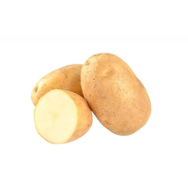 精品菜：土豆2500g