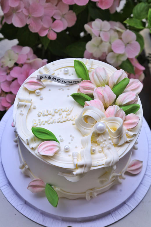 定格春天 商品图0