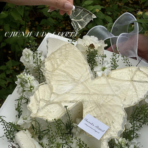 梦境蝴蝶  商品图10