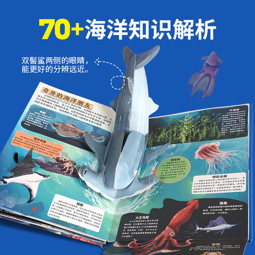 那么大！立体书：海洋 7-10岁 儿童3d立体书 商品图3