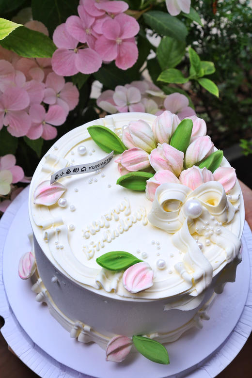 定格春天 商品图4