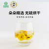 温释有机怀菊花 河南焦作无硫烘干头茬黄菊花30g/罐 商品缩略图3