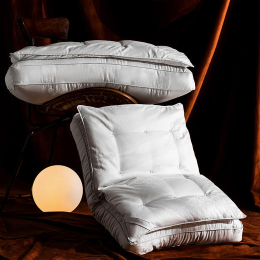 闽宁镇席梦乡双层蚕丝枕 M200-2403 商品图3