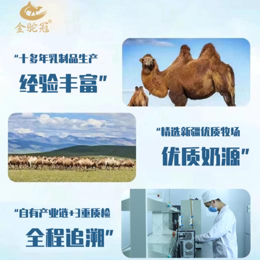 沙漠白金 奶中珍品【益生菌配方驼乳粉 金驼冠】5罐送一罐到手6罐❗无蔗糖补钙补蛋白质 学生成人 中老年奶粉富有营养 商品图3