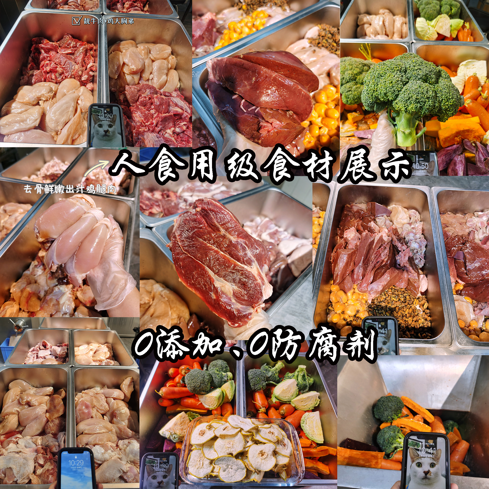 高端私宠定制｜日常保健/病愈恢复/皮肤病忌口/鲜粮营养餐（下单前请仔细阅读产品详情或联系工作人员）