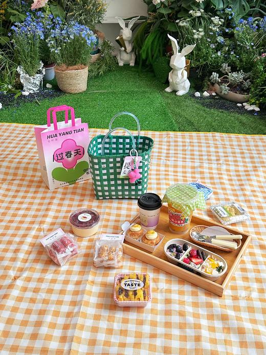 赠品：限定春游野餐垫 支持到店自提/付费快递 商品图0