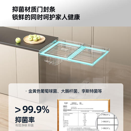 301升双箱双温卧式冷柜 BG30AS 商品图5