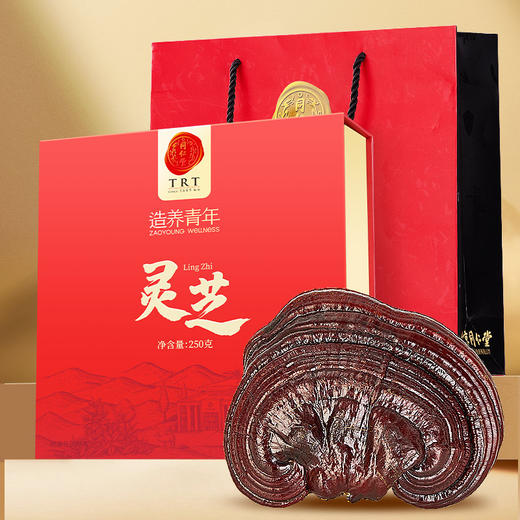 【正宗同仁堂品牌】北京同仁堂灵芝250克  礼盒装 朵大形好 干度合格 品质灵芝SY 商品图6
