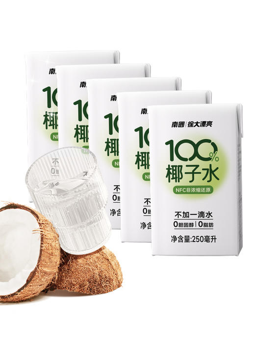 南国椰子水250ml*6 纯椰子水孕妇电解质水海南特产天然饮料 商品图4