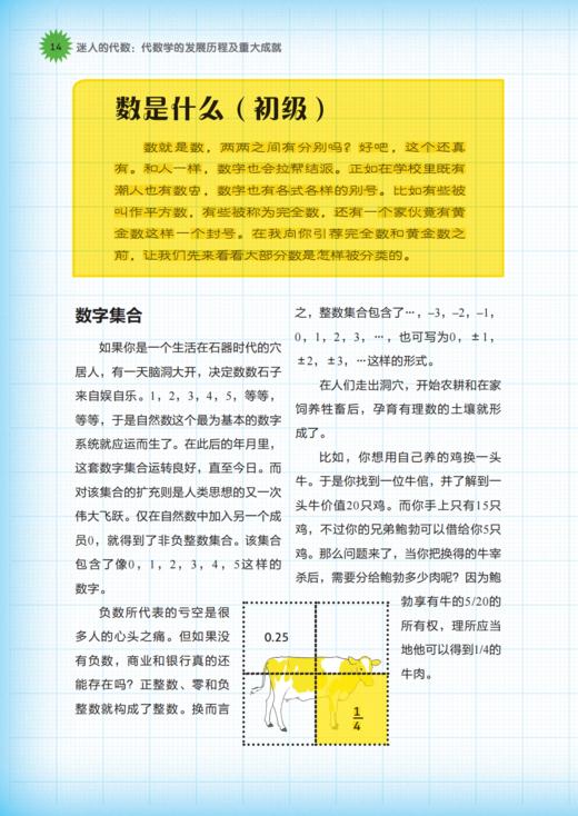 《迷人的代数：代数学的发展历程及重大成就》 商品图6