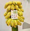 【满150元全疆包邮】网红水培香蕉 自培（3-3.5kg） 商品缩略图0