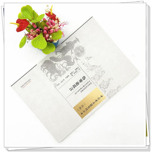 伤寒论近言 (清) 何梦瑶 撰 （中国古医籍整理丛书. 续编） 中国中医药出版社 商品图2