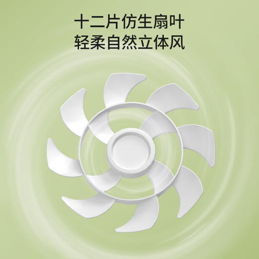 赛亿电风扇/落地扇 台扇/台地扇 家用办公室台立升降式可摇头机械12风叶电风扇【工厂直发、一手货源、新款独家、7天无理由退换】 商品图4