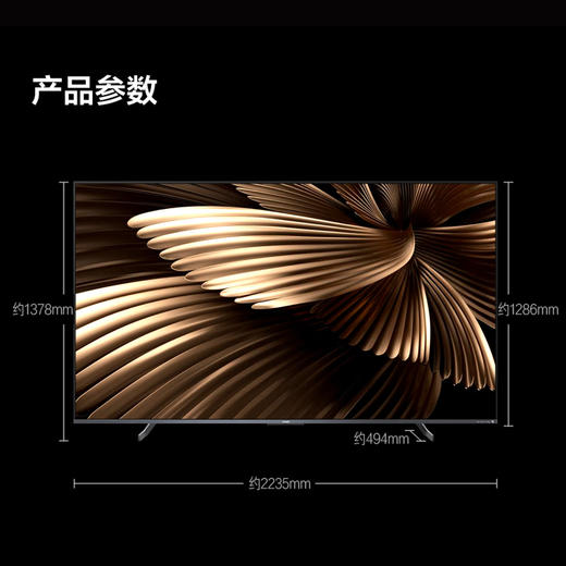 Vidda 海信电视 100V7K 商品图6