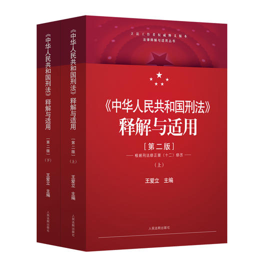 中华人民共和国刑法释解与适用(王爱立) 商品图0
