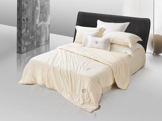 罗莱 粹 超柔无边金镶玉桑蚕丝被 商品图0