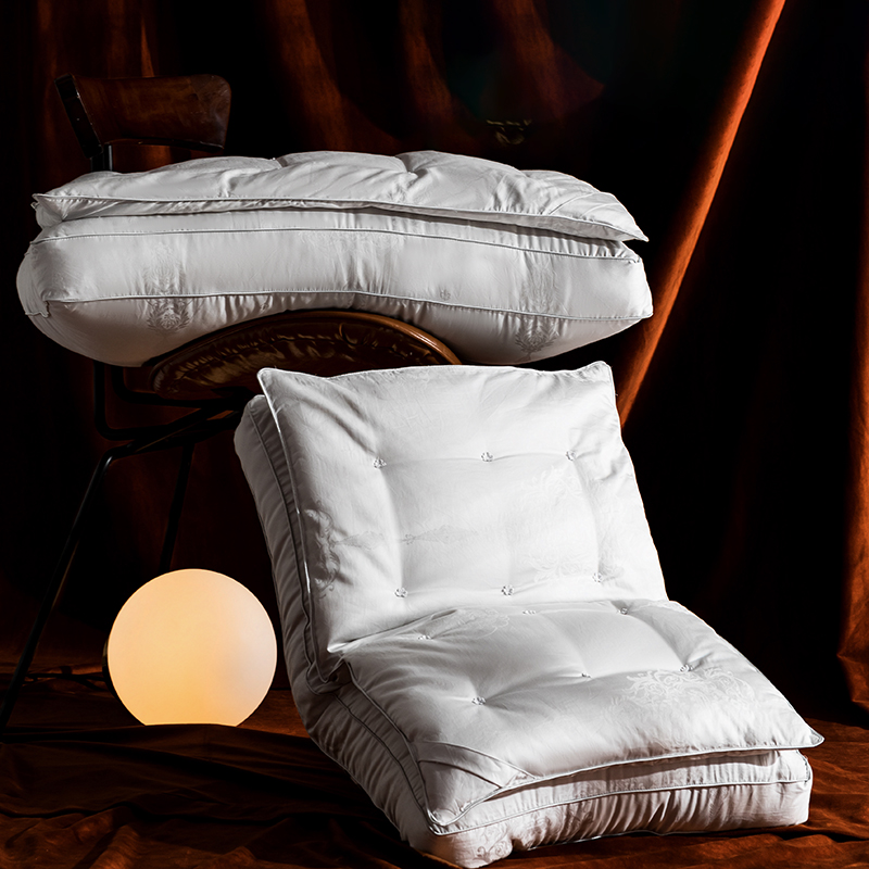 闽宁镇席梦乡双层蚕丝枕 M200-2403