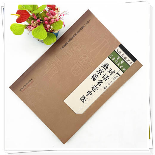 对话名中医.燕京篇 谷晓红 丁霞 主编 中国中医药出版社 大医传承文库 对话名老中医系列 商品图2