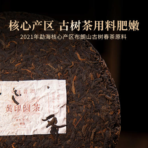 双陈普洱2024年黄印圆茶熟茶云南古树老茶干仓陈化357克/片 商品图1