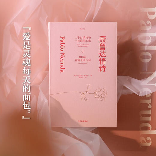 聂鲁达情诗 智利情圣诗人巴勃罗 ·聂鲁达逝世50周年情诗集 黄灿然译作 重现情笺瑰宝 商品图3
