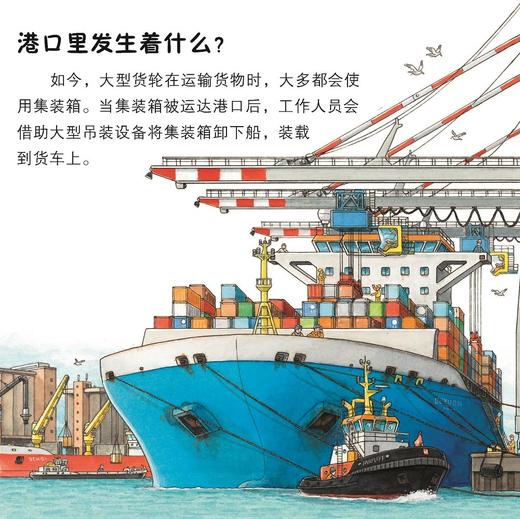 《口袋科学》（全20册） 商品图9