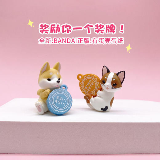 万代 奖励你一个奖牌！可爱动物扭蛋摆件 柴犬猫咪玄风 正版 商品图3