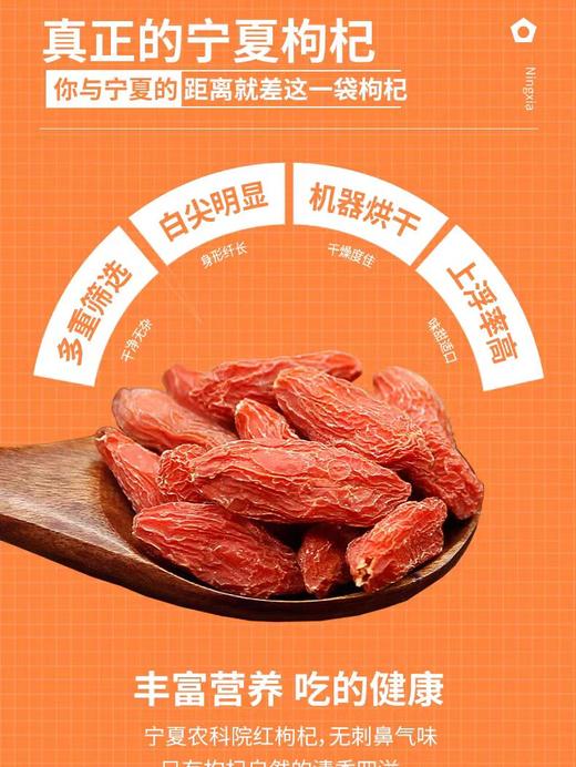 宁夏农科院枸杞子 特优大果免洗  258克/袋 商品图1