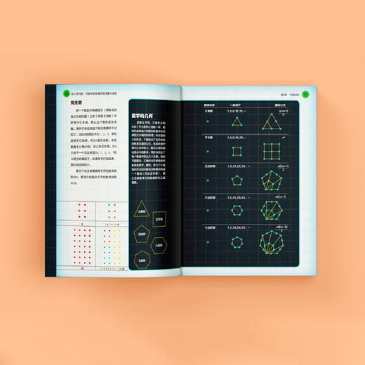 《迷人的代数：代数学的发展历程及重大成就》 商品图7