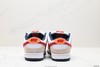 耐克Nike Dunk Low Pro休闲运动板鞋FD8776-800男女鞋 商品缩略图5