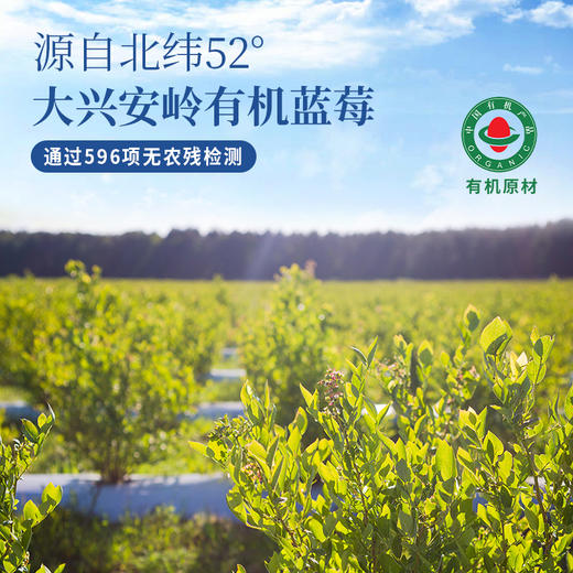 ⁴【大兴安岭野生蓝莓（越橘）原浆】1袋≈60粒新鲜野生蓝莓  30ml*7袋/盒  YC04-CRMM-YKSC 商品图2