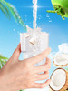 南国椰子水250ml*6 纯椰子水孕妇电解质水海南特产天然饮料 商品缩略图1