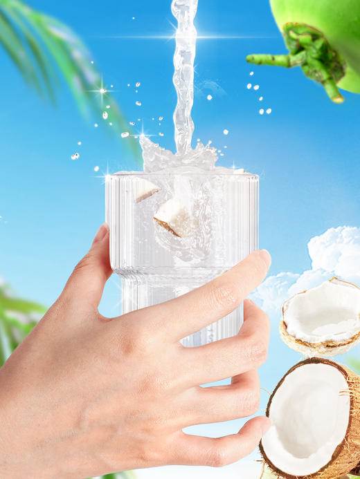 南国椰子水250ml*6 纯椰子水孕妇电解质水海南特产天然饮料 商品图1