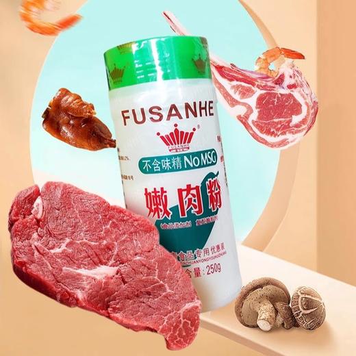 福三和嫩肉粉210g 商品图0