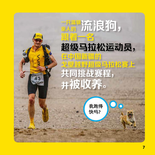 《美国国家地理·世界真奇妙》（全3辑）全30册 商品图6