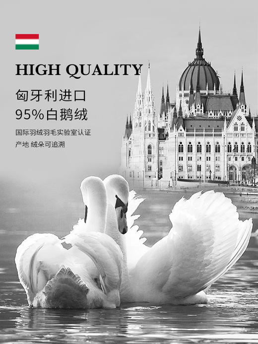 冰火之欢可水洗鹅绒夏被（赠同款冰丝枕套） 商品图3