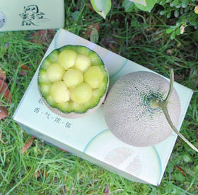海阳网纹蜜瓜2枚装