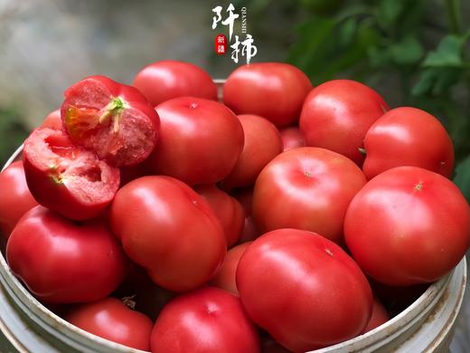 阡柿吐鲁番沙瓤西红柿5斤装 商品图2
