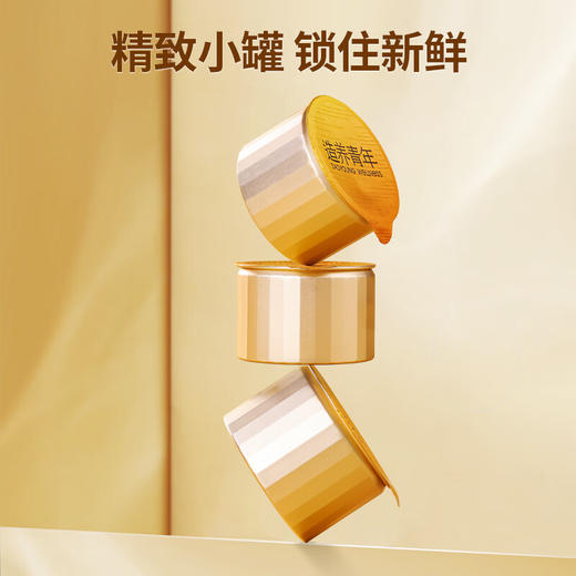 【正宗同仁堂品牌】北京同仁堂 西洋参铁皮石斛枸杞茶 120g（10克X12）礼盒装   温润滋养 独立小罐 SY 商品图6