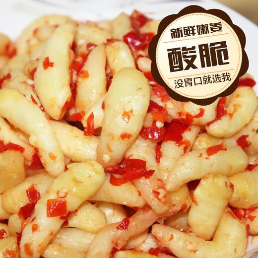 【新鲜嫩姜酸脆，坛子腌制酸爽开胃】酸辣生姜湖南泡姜酸姜酸辣椒鲜嫩姜仔湘西特产腌姜芽四川剁椒子姜 商品图4