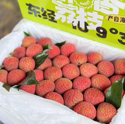 空运桂花香荔枝 商品图11