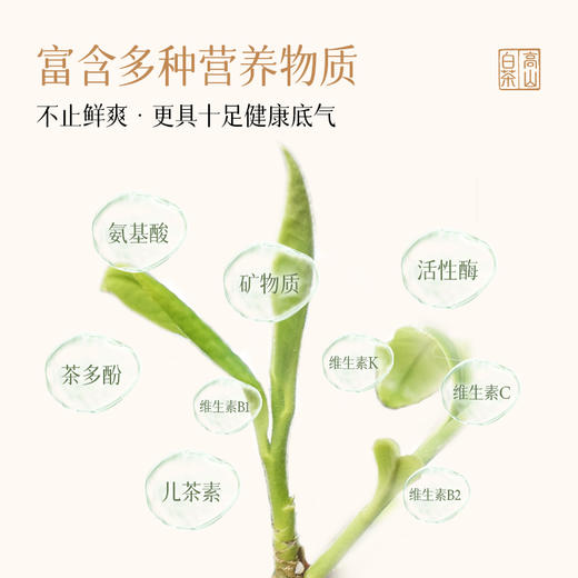澜沧古茶2020年云白金4年陈高山贡眉云南白茶盒装40g 商品图3