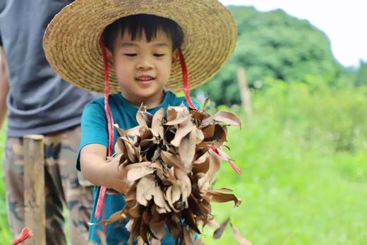 4.·19上午 | 朴门有续之【一米菜园】，开启美好生活～ 商品图0