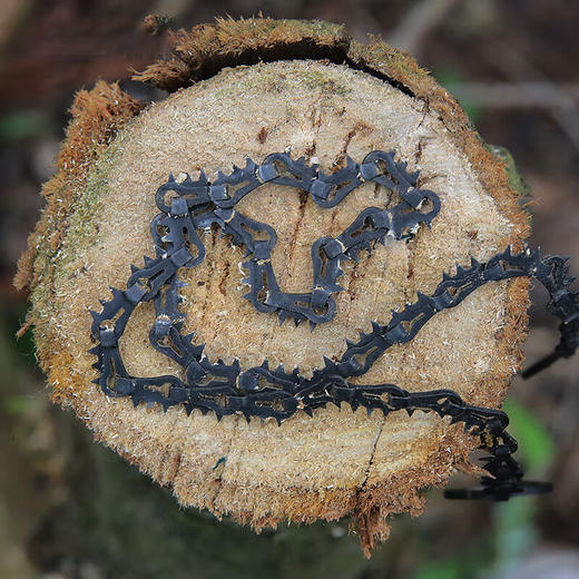 多吉织带链条锯TLZ1721 商品图1