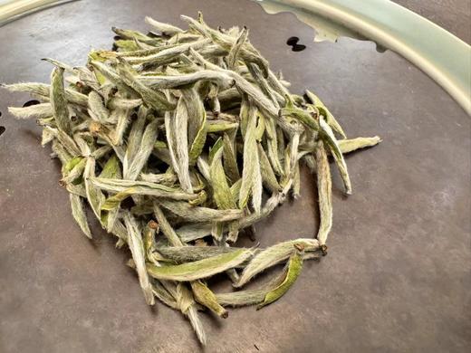 2024春 荒野头采米针 磻溪南广 50克 250克 500克 1000克 2500克 商品图6