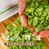 云南保山绿心小“馋”豆 | 高原绿蚕豆 口口酥香 商品缩略图0