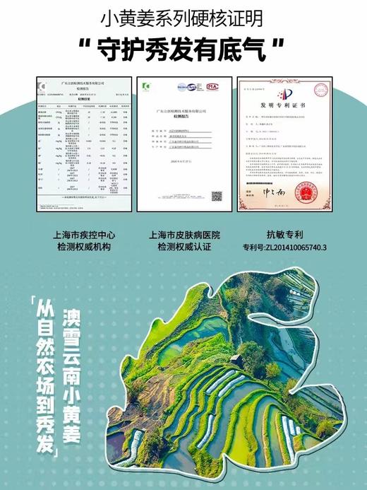 澳雪小黄姜防脱洗发水 商品图8