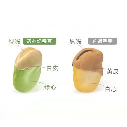 云南保山绿心小“馋”豆 | 高原绿蚕豆 口口酥香 商品图2