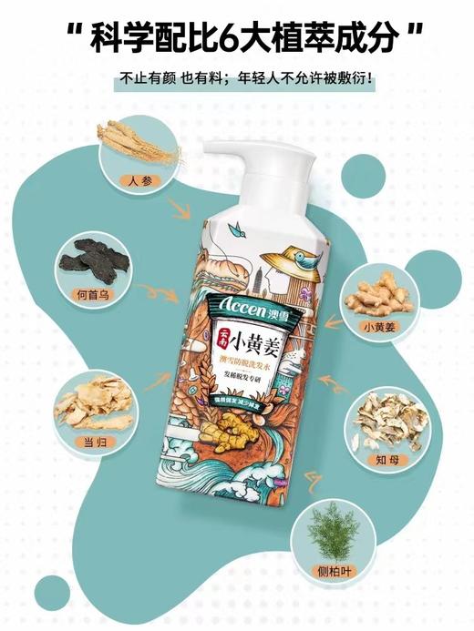 澳雪小黄姜防脱洗发水 商品图7