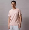CKJ男士T恤J325376 商品缩略图1